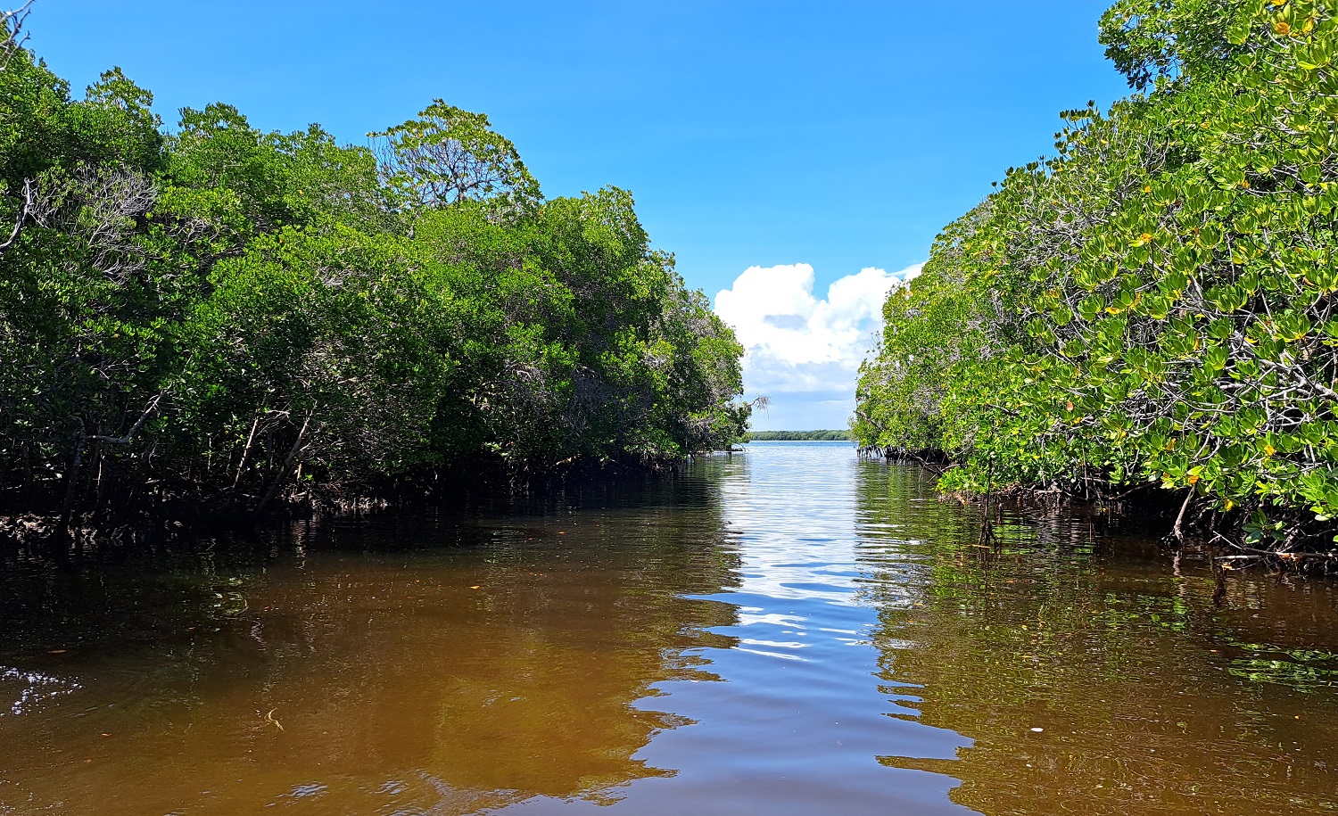 Self-observation is the first step of inner unfolding