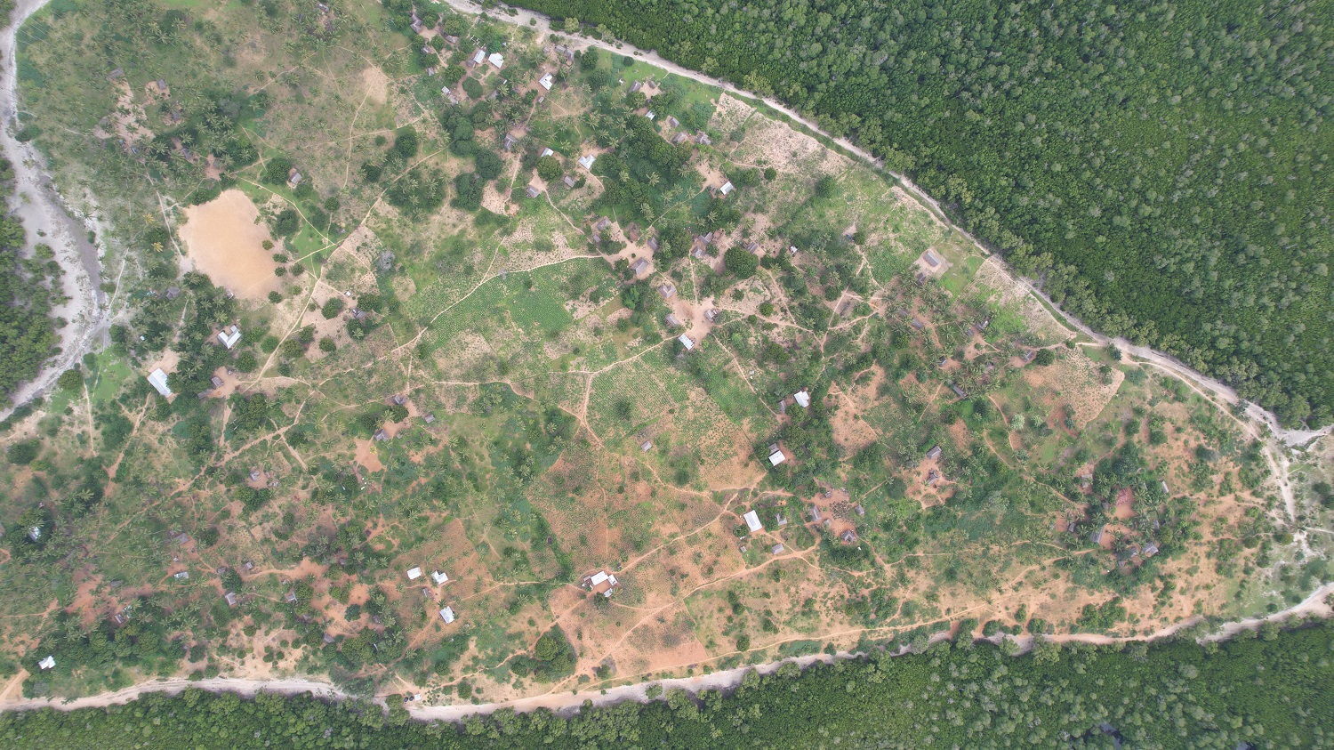 Self-observation is the first step of inner unfolding